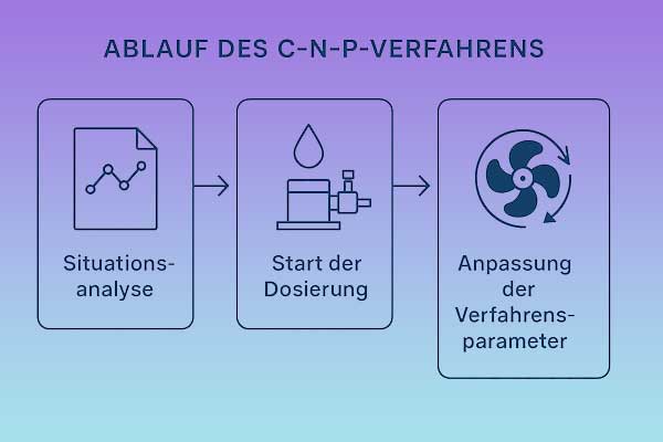 Ablauf des C-N-P-Verfahrens – Schematische Darstellung