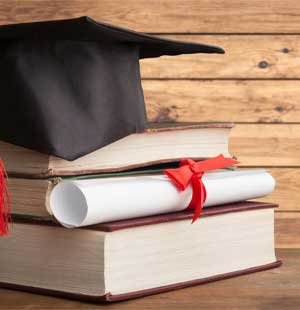 Diplomarbeit Regine Setzer zu C-N-P Verfahren