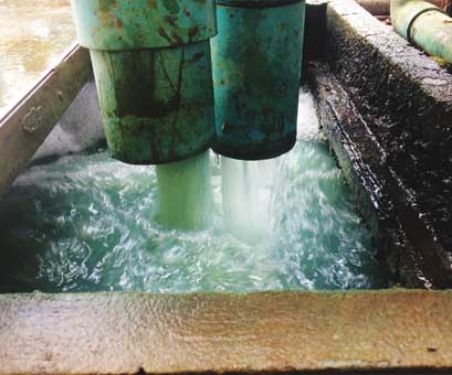 Wirkung Phosphateliminierung.